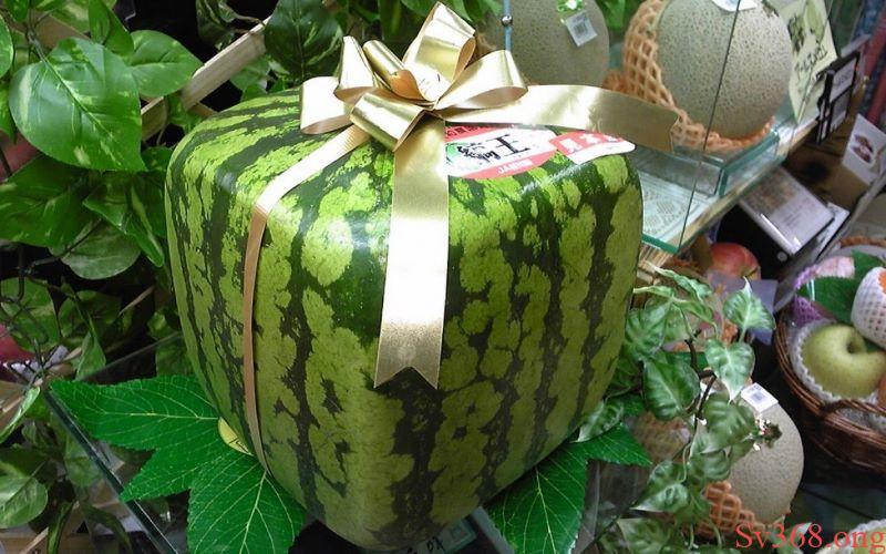 mơ thấy dưa hấu mơ thấy dưa hấu