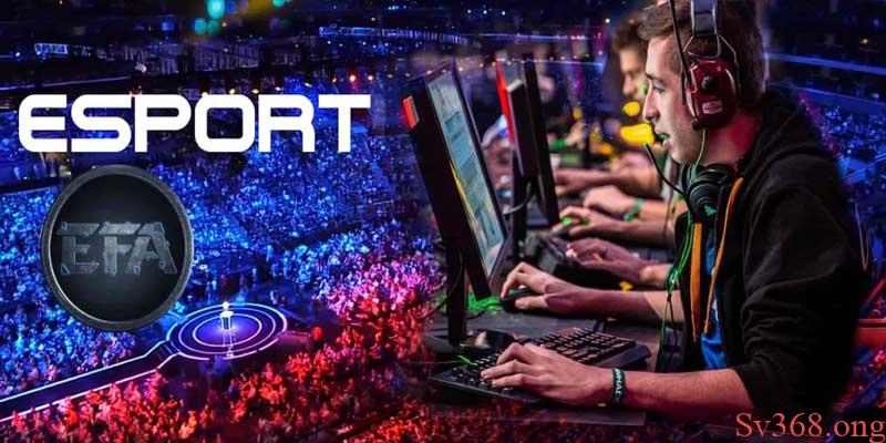 Cá cược e-sport ae888 tại nhà cái sv368 hot nhất 2025 1 Kinh nghiệm cá cược e-sport ae888