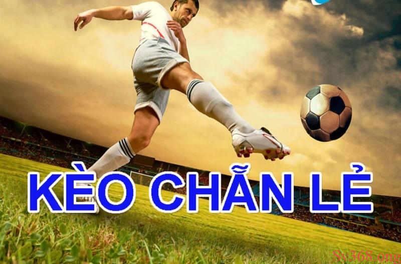 Kèo Chẵn Lẻ: Tìm Hiểu Cà Hướng Dẫn Chơi Kèo Cá Cược Bóng Đá 7 Kèo chẵn lẻ