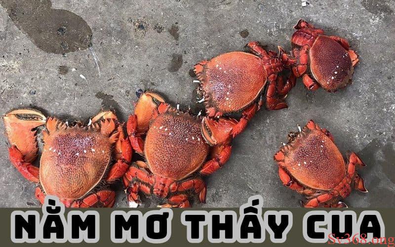 Mơ Thấy Cua - Giải Mã Những Giấc Mơ Thấy Cua Thường Gặp 8 Tìm hiểu mơ thấy cua
