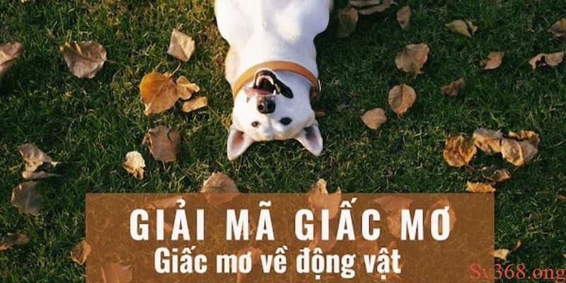 Nằm Mơ Thấy Nhiều Con Vật Xuất Hiện Đánh Con Gì Tại Sv368 6 Giải mã giấc mơ nhiều con vật